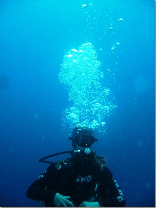 Mauritius-SCUBA-Diving-PADI-Wreck-Sea-Urchin