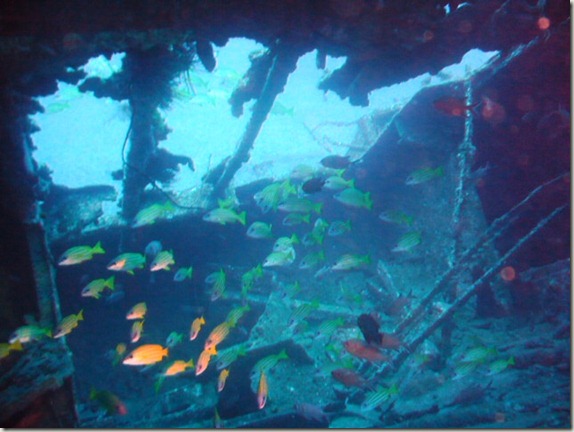 Mauritius-SCUBA-Diving-PADI-Wreck