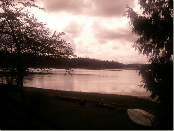 gig-harbor-windows-phone-camera