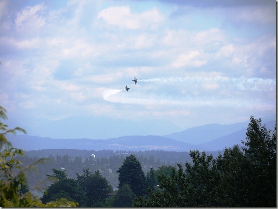 blue-angels-seafair-seattle-2011-4