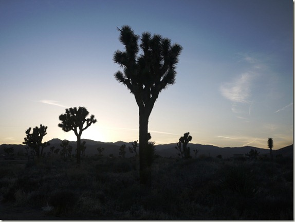 pioneertown-ca (3)